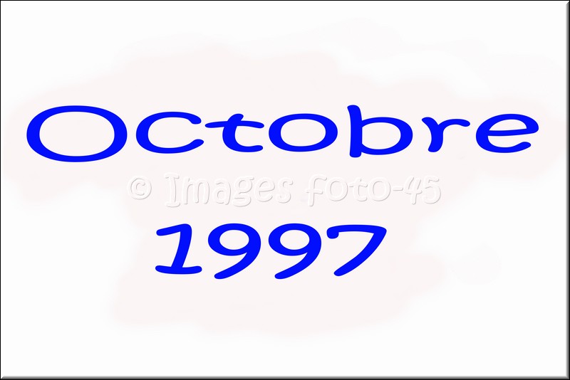 0006.jpg