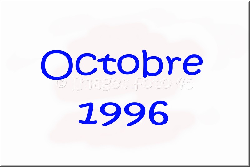 0009.jpg