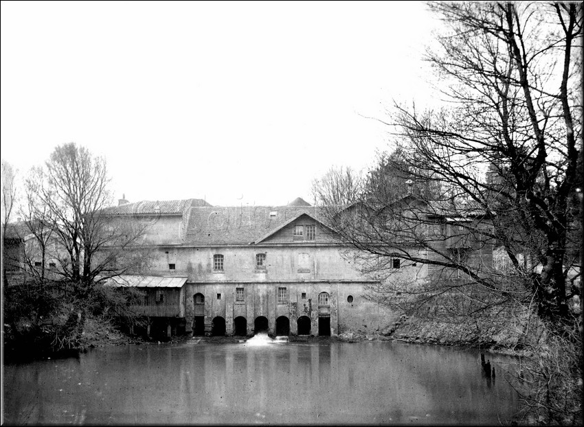 1901 - 0014.jpg