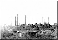 1901 - 0020.jpg
