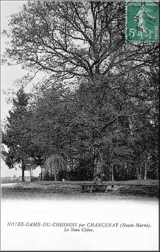 1909 - 0037.jpg