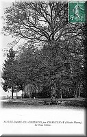 1909 - 0037.jpg