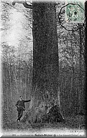 1910 - 0087.jpg