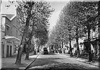 1949 - 0011.jpg