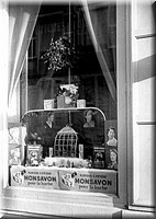 1953 - 0011.jpg