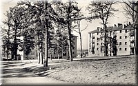 1955 - 0011.jpg