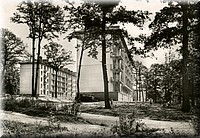 1956 - 0031.jpg