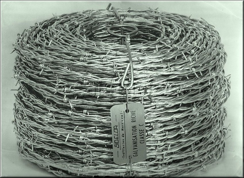 1958 - 0025.jpg