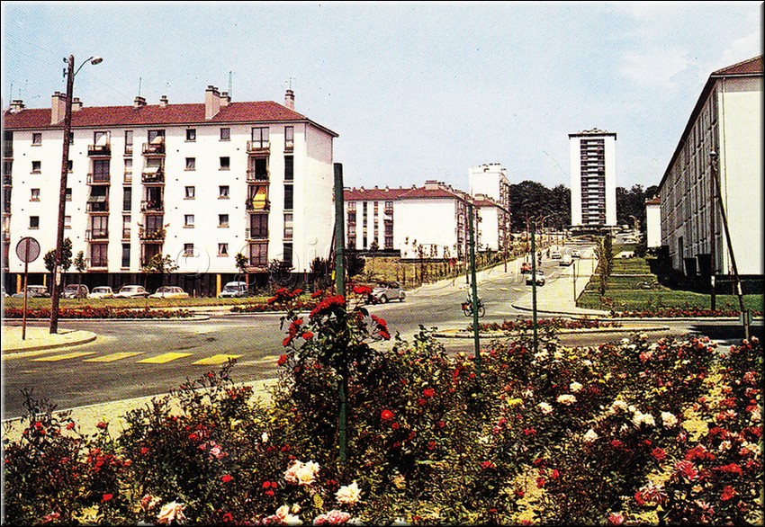 1964 - 0009.jpg