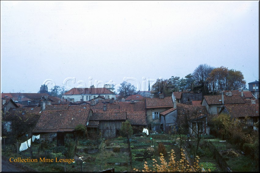 1971 - 0013.jpg