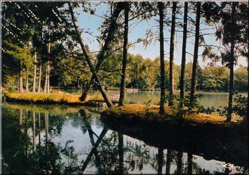 1972 - 0018.jpg
