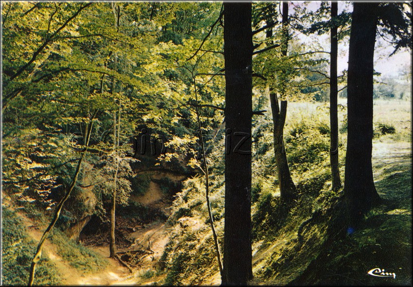 1972 - 0019.jpg