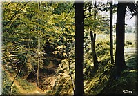 1972 - 0019.jpg