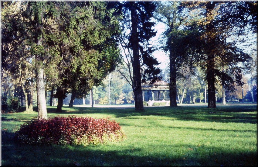 1973 - 0015.jpg
