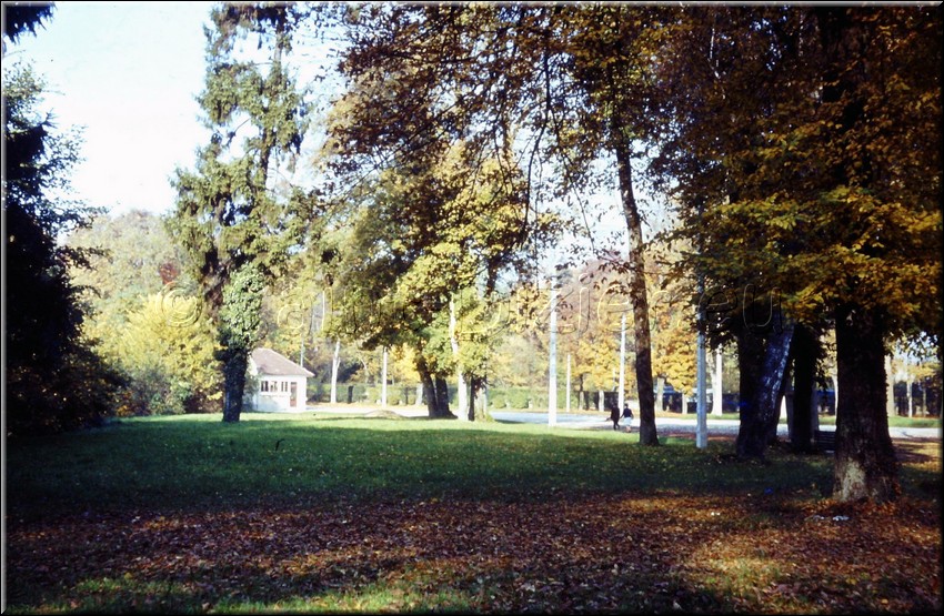 1973 - 0016.jpg