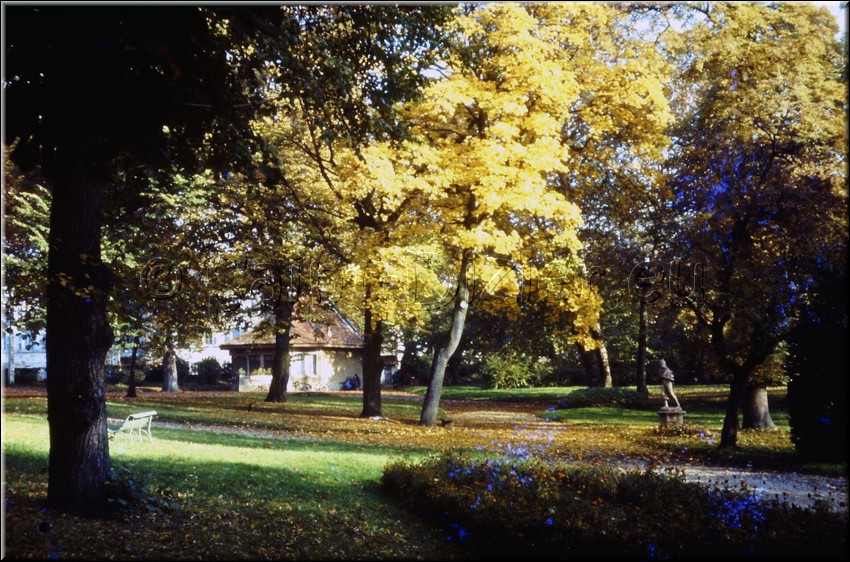 1973 - 0018.jpg