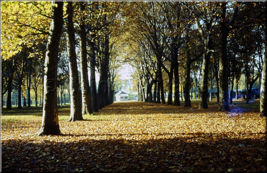 1973 - 0019.jpg
