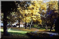 1973 - 0018.jpg