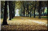 1973 - 0023.jpg