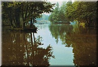 1977 - 0011.jpg