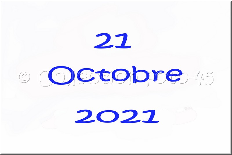 0001.jpg