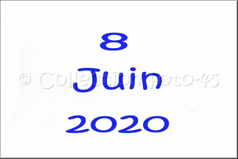 0001.jpg