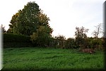 0029.jpg