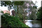 0041.jpg
