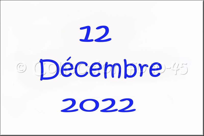 2022_12_12_0001.jpg