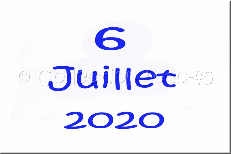 0001.jpg