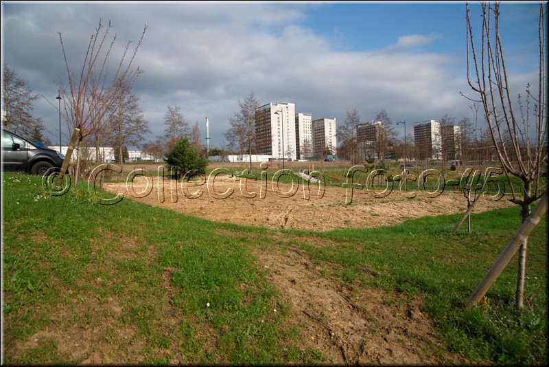 2024_03_04 - 0002.jpg