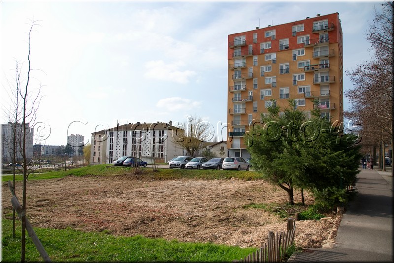 2024_03_04 - 0006.jpg