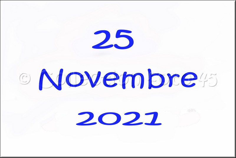 0020.jpg
