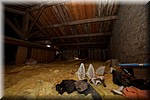 0033.jpg