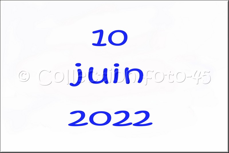 0001.jpg