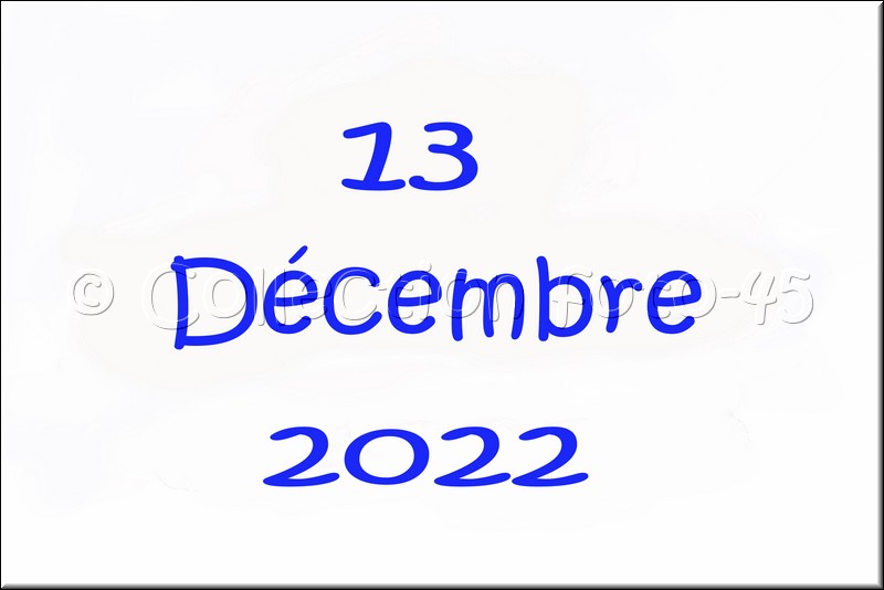 2022_12_13_0001.jpg