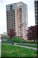 2025_04_24 - 0031.jpg