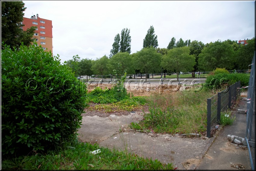 2024_06_17 - 0033.jpg