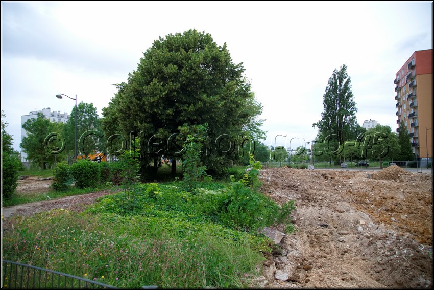 2024_06_17 - 0036.jpg