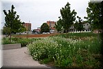 2024_06_17 - 0020.jpg