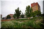2024_06_17 - 0021.jpg
