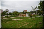 2024_06_17 - 0050.jpg