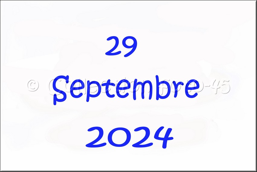 2024_09_29 - 0001.jpg