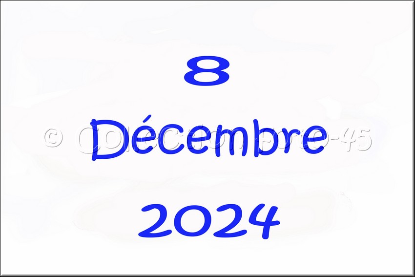 2024_12_08 - 0001.jpg