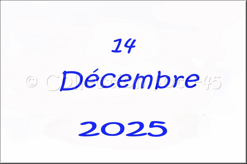 2025_12_14 - 0001.jpg