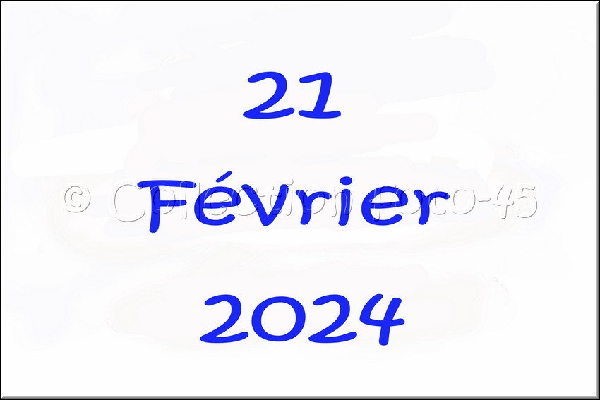 2024_02_21 - 0001.jpg