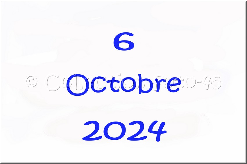 2024_09_29 - 0001.jpg