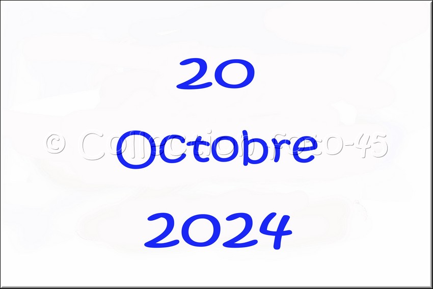 2024_10_20 - 0001.jpg