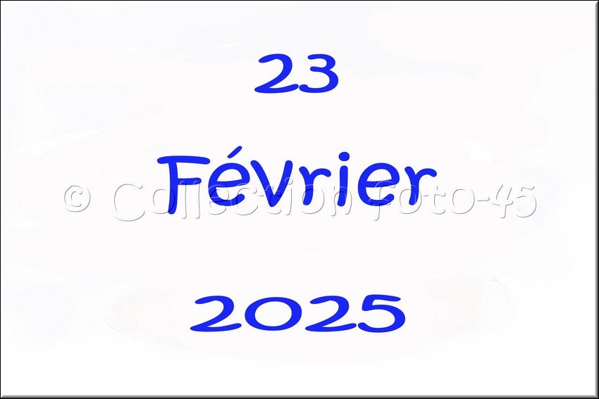 2025_02_23 - 0001.jpg