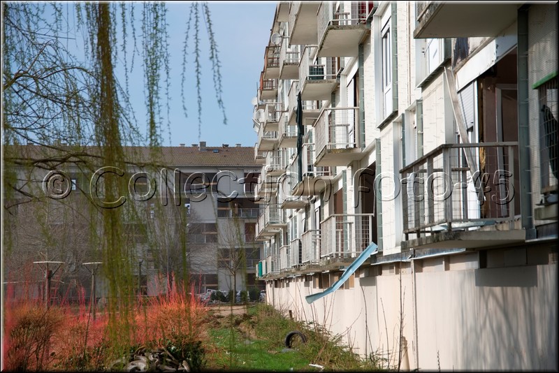 2024_03_04 - 0004.jpg